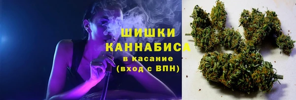 ГАЛЛЮЦИНОГЕННЫЕ ГРИБЫ Осинники
