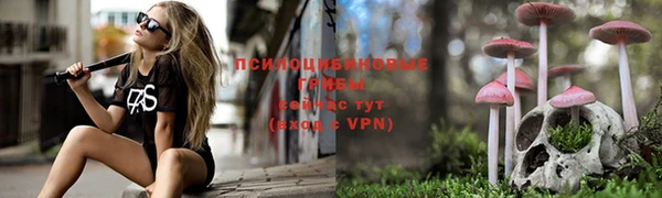 стафф Нягань